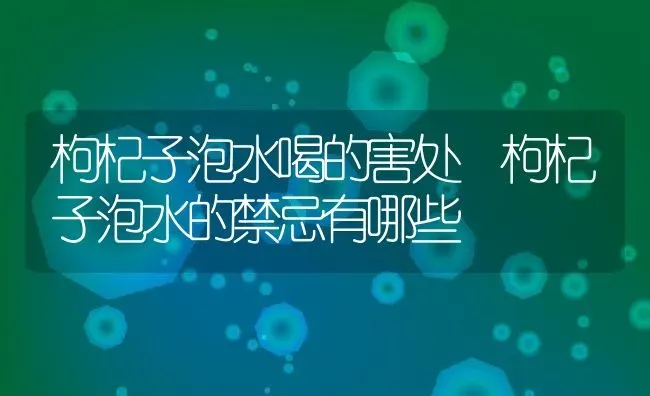 枸杞子泡水喝的害处 枸杞子泡水的禁忌有哪些 | 养殖资料投稿