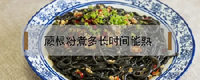 蕨根粉煮多长时间能熟