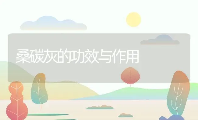 桑碳灰的功效与作用 | 养殖资料投稿