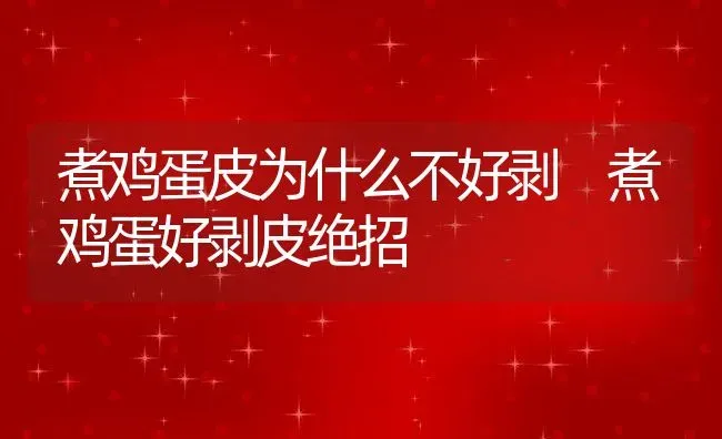 煮鸡蛋皮为什么不好剥 煮鸡蛋好剥皮绝招 | 养殖资料投稿