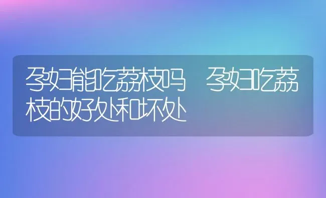 孕妇能吃荔枝吗 孕妇吃荔枝的好处和坏处 | 养殖资料投稿