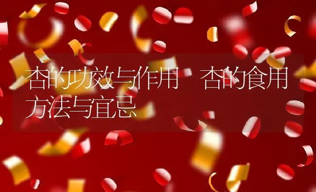 杏的功效与作用 杏的食用方法与宜忌 | 养殖资料投稿