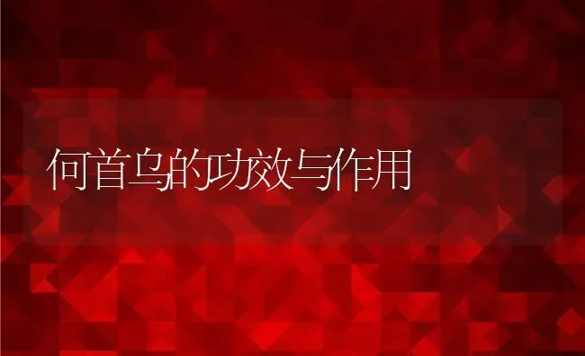 何首乌的功效与作用 | 养殖资料投稿