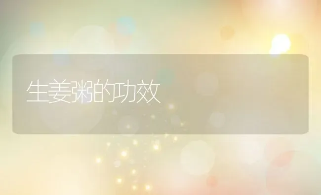 生姜粥的功效 | 养殖资讯