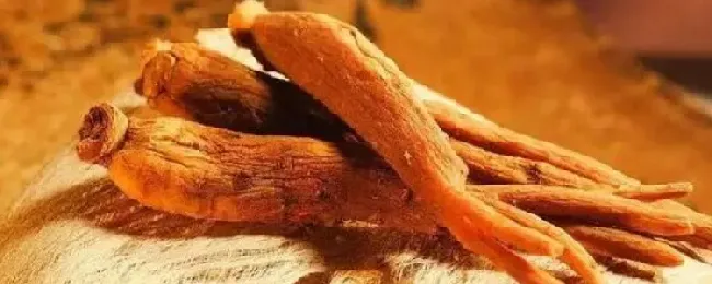 红参和白参之间有哪些不同？