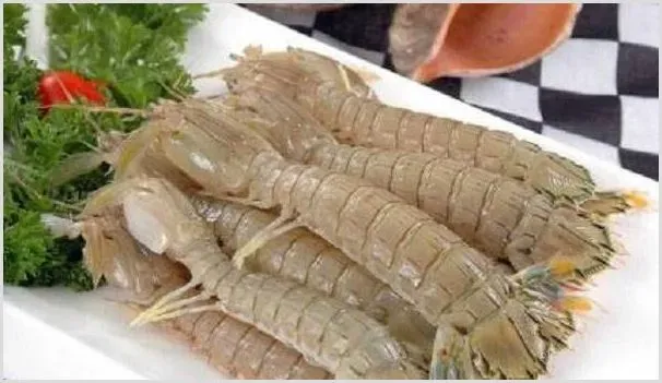 皮皮虾的养殖前景如何 行情分析能赚钱吗 | 农业养殖资讯