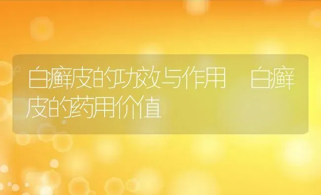 白癣皮的功效与作用 白癣皮的药用价值 | 养殖资料投稿