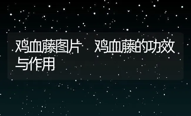 鸡血藤图片 鸡血藤的功效与作用 | 养殖资料投稿
