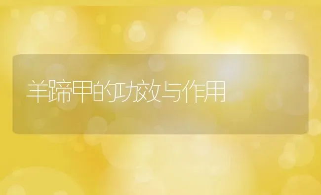 羊蹄甲的功效与作用 | 养殖资料投稿