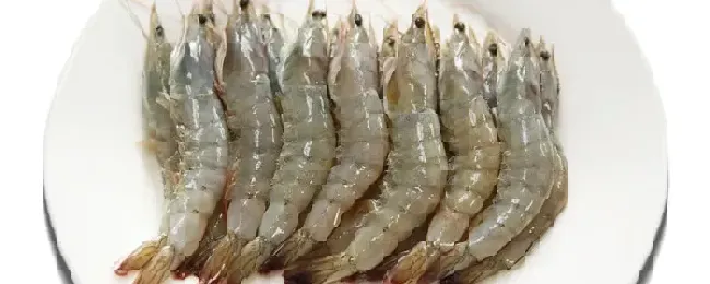 弧菌对虾有什么影响