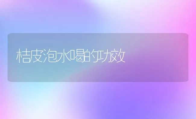 桔皮泡水喝的功效 | 养殖资料投稿