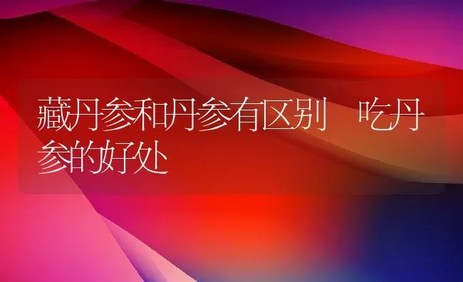 藏丹参和丹参有区别 吃丹参的好处 | 养殖资料投稿