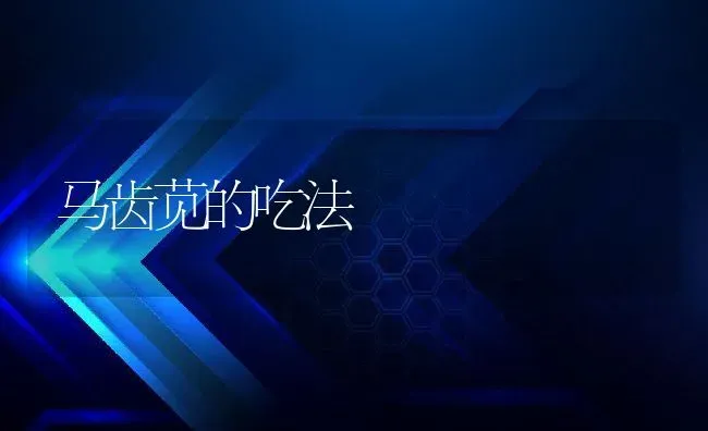 马齿苋的吃法 | 养殖资料投稿
