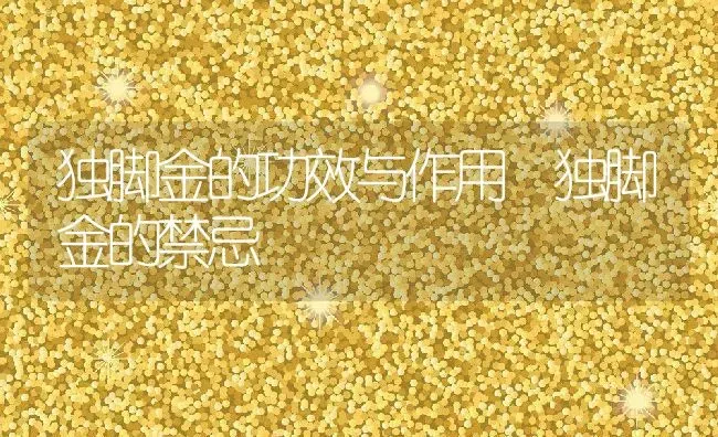 独脚金的功效与作用 独脚金的禁忌 | 养殖资料投稿