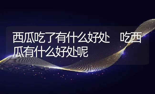 西瓜吃了有什么好处 吃西瓜有什么好处呢 | 养殖资料投稿