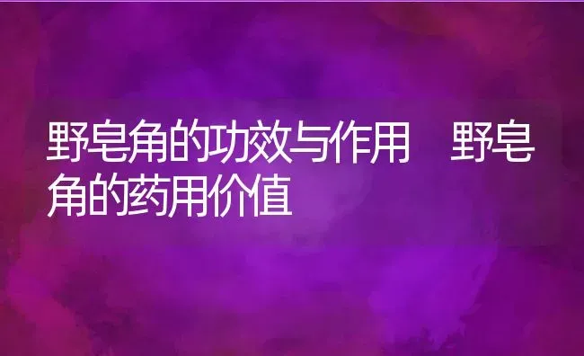 野皂角的功效与作用 野皂角的药用价值 | 养殖资料投稿