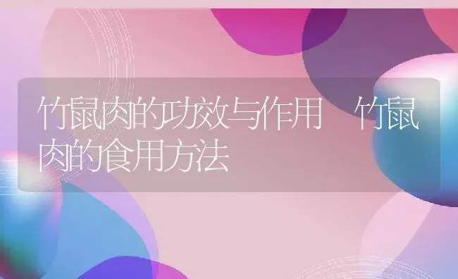 竹鼠肉的功效与作用 竹鼠肉的食用方法 | 养殖资料投稿