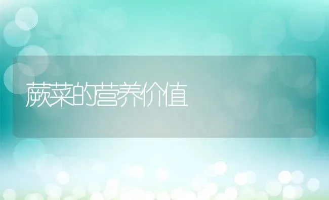 蕨菜的营养价值 | 养殖资讯
