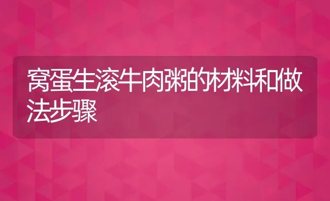 窝蛋生滚牛肉粥的材料和做法步骤 | 养殖资讯