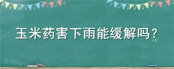 玉米药害下雨能缓解吗