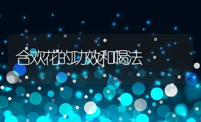 合欢花的功效和喝法 | 养殖资料投稿