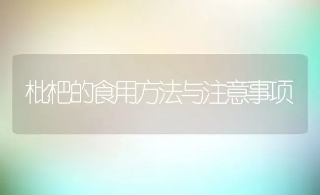 枇杷的食用方法与注意事项 | 养殖资料投稿