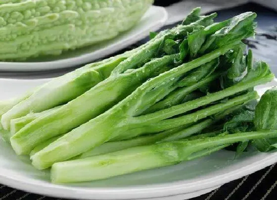 蔬菜|芥兰是什么菜