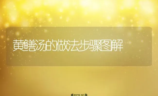 黄鳝汤的做法步骤图解 | 养殖资料投稿