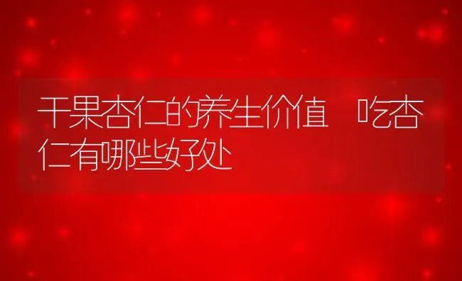 干果杏仁的养生价值 吃杏仁有哪些好处 | 养殖资料投稿