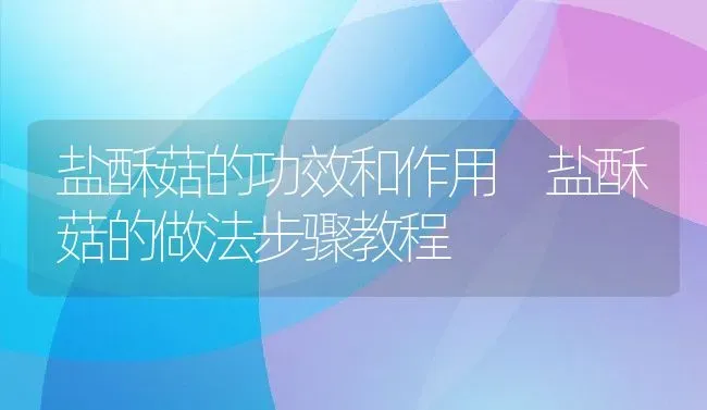 盐酥菇的功效和作用 盐酥菇的做法步骤教程 | 养殖资料投稿