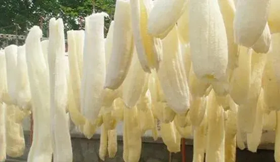 干丝瓜煮水的功效与作用