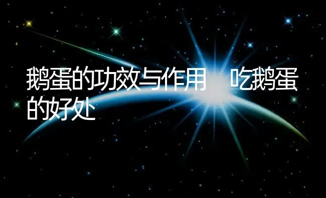 鹅蛋的功效与作用 吃鹅蛋的好处 | 养殖资料投稿