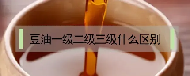 豆油一级二级三级什么区别
