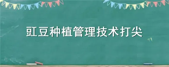 豇豆种植管理技术打尖
