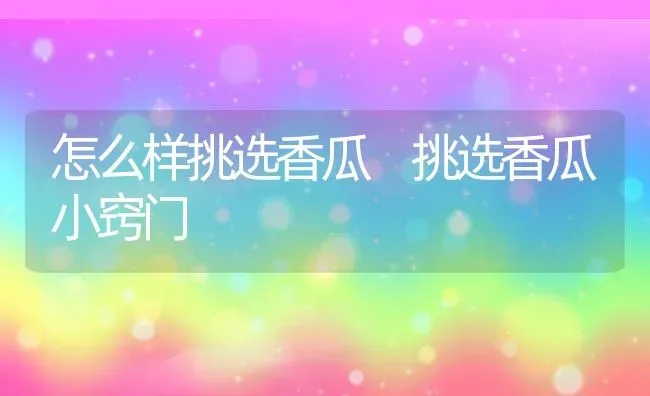 竹宇花如何养 竹宇花的养殖方法技巧 | 养殖资料投稿