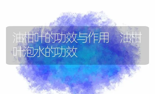 油柑叶的功效与作用 油柑叶泡水的功效 | 养殖资料投稿