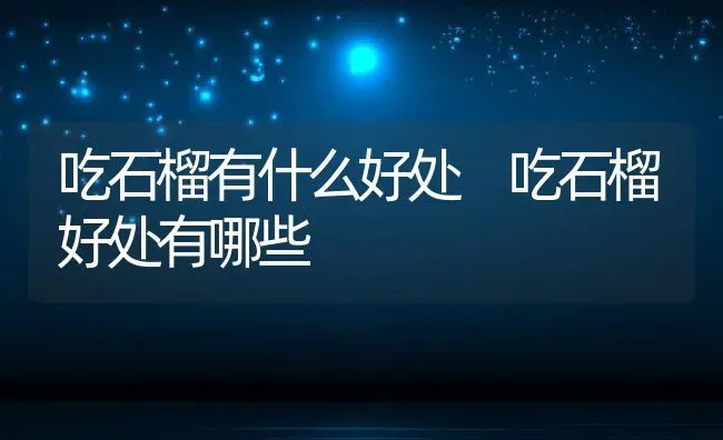 吃石榴有什么好处 吃石榴好处有哪些 | 养殖资料投稿