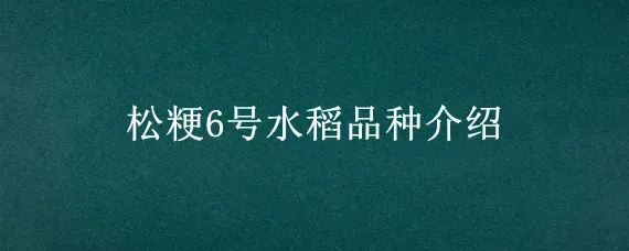 松粳6号水稻品种介绍