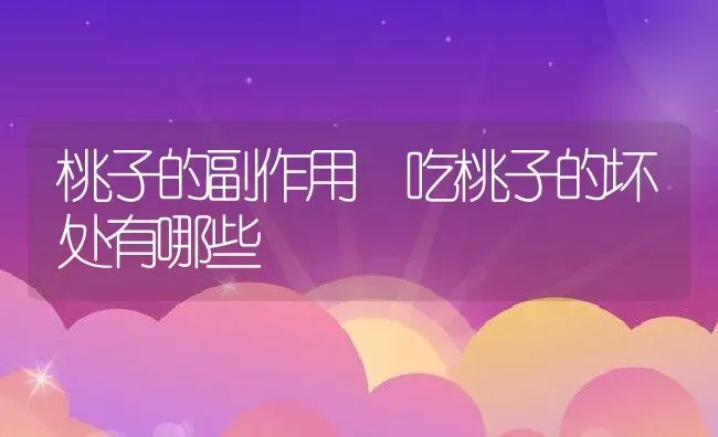 桃子的副作用 吃桃子的坏处有哪些 | 养殖资料投稿