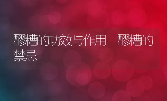 醪糟的功效与作用 醪糟的禁忌 | 养殖资料投稿