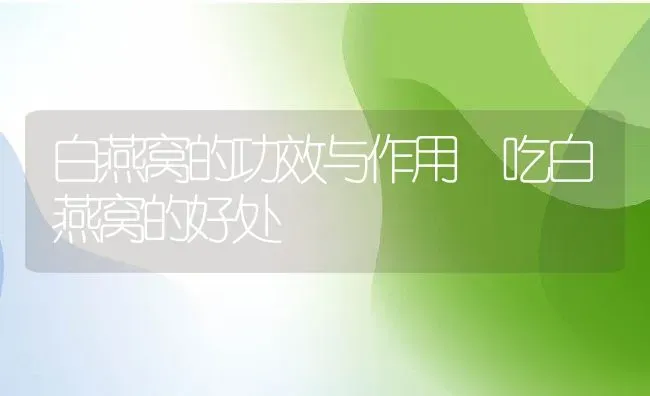白燕窝的功效与作用 吃白燕窝的好处 | 养殖资料投稿