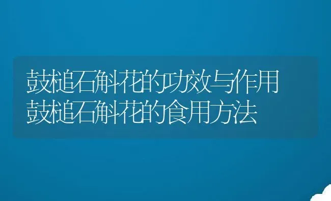 鼓槌石斛花的功效与作用 鼓槌石斛花的食用方法 | 养殖资料投稿
