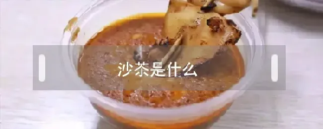 沙茶是什么