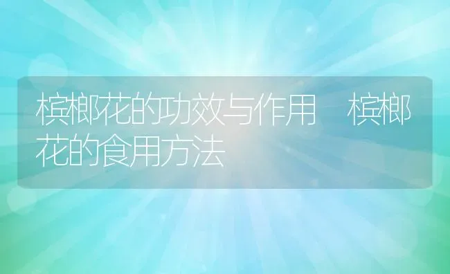 槟榔花的功效与作用 槟榔花的食用方法 | 养殖资料投稿