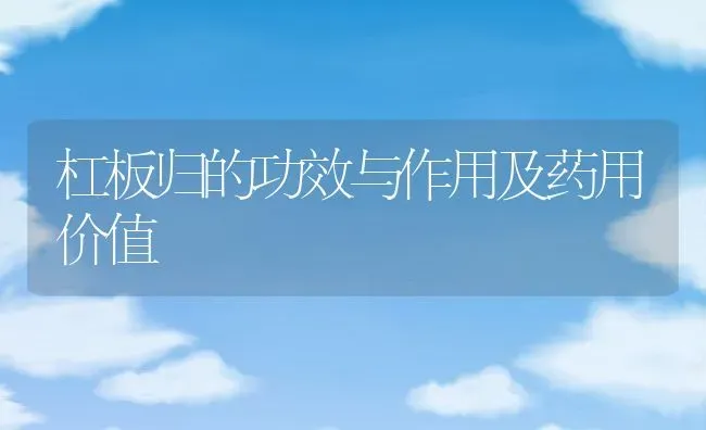 杠板归的功效与作用及药用价值 | 养殖资料投稿