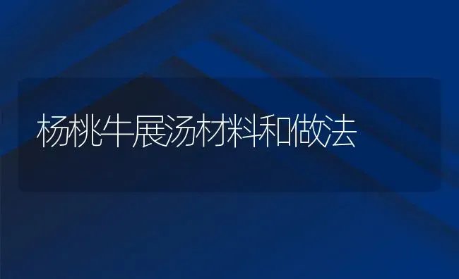 杨桃牛展汤材料和做法 | 养殖资料投稿