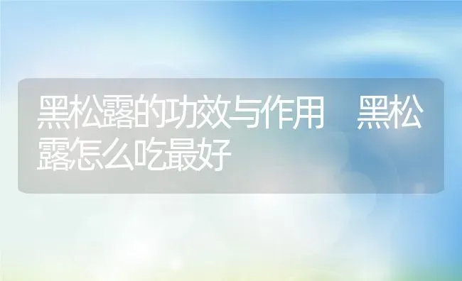 黑松露的功效与作用 黑松露怎么吃最好 | 养殖资料投稿