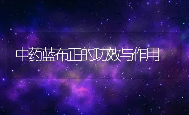 中药蓝布正的功效与作用 | 养殖资料投稿