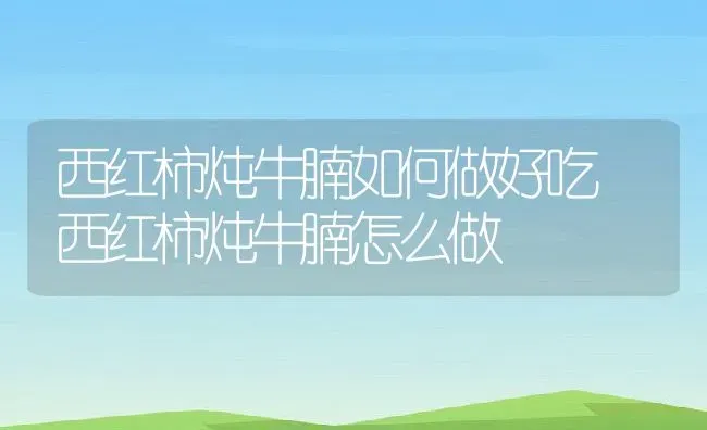 西红柿炖牛腩如何做好吃 西红柿炖牛腩怎么做 | 养殖资料投稿