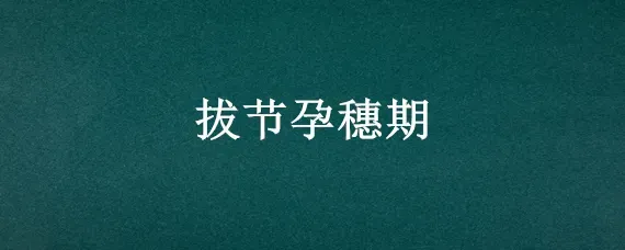 拔节孕穗期
